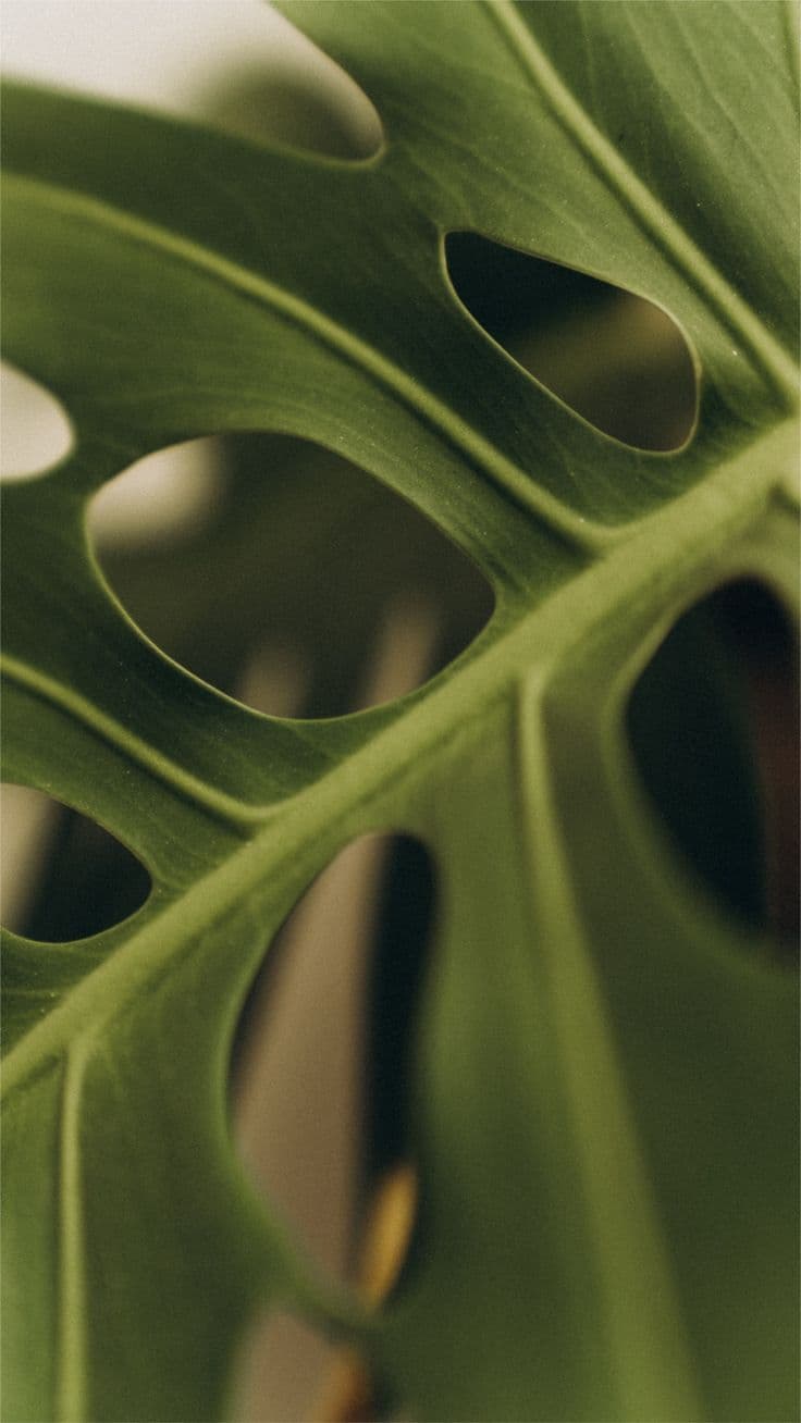 נוף ירוק - רקע